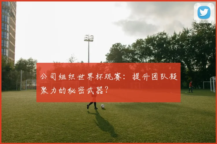 公司组织世界杯观赛：提升团队凝聚力的秘密武器？