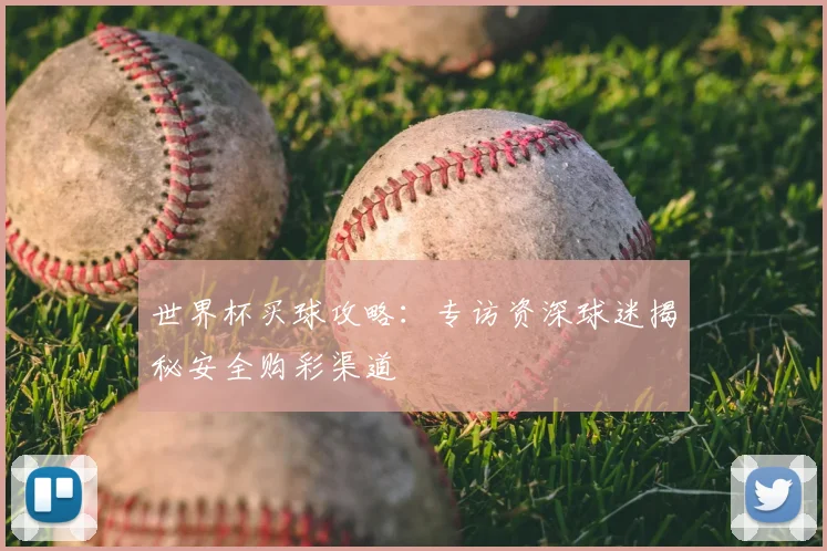 世界杯买球攻略:专访资深球迷揭秘安全购彩渠道