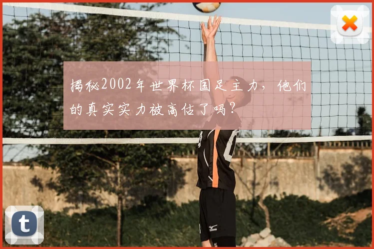 揭秘2002年世界杯国足主力，他们的真实实力被高估了吗？