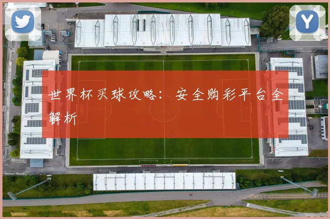 世界杯买球攻略：安全购彩平台全解析