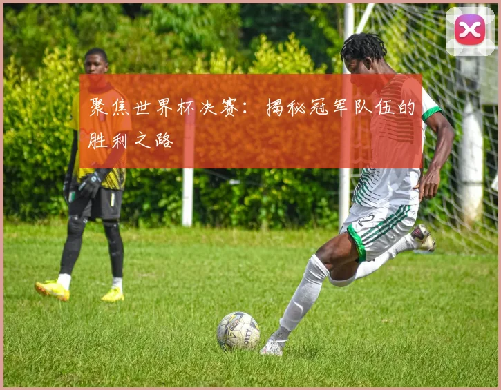聚焦世界杯决赛：揭秘冠军队伍的胜利之路